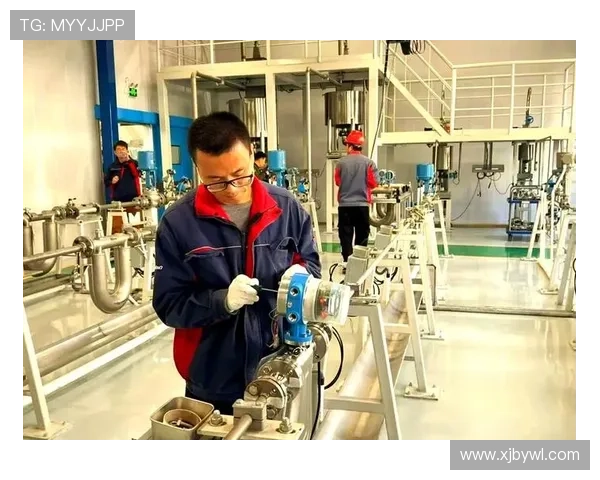 廊坊企业家助力地方经济发展创新驱动战略探索与实践